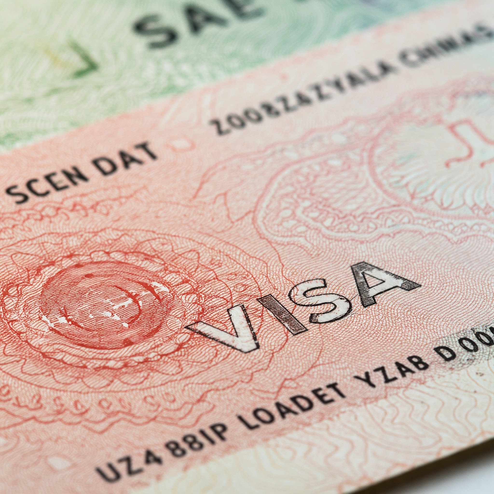 How to apply for family visa in Dubai, Abu Dhabi, Sharjah, Al Ain, Ajman, Ras Al Khaimah, Umm Al Quwain, Fujairah.